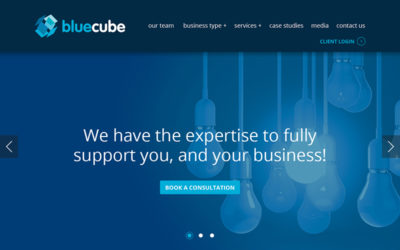 Blue Cube Website