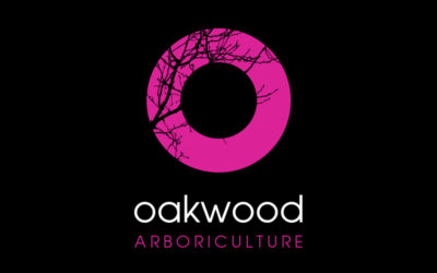 Oakwood Aboriculture – Logo Design